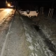 Tczew - Policjanci poszukują świadków wypadku