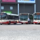 Tczew - Miasto analizuje prośbę Gryfa o zwiększenie dotacji
