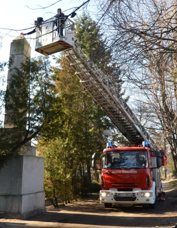 Mogiła czerwonoarmistów - na miejscu pracują technicy kryminalistyki