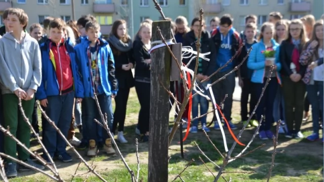 Tczew - Przy Dębie Katyńskim uczczono ofiary katastrofy z 2010 roku