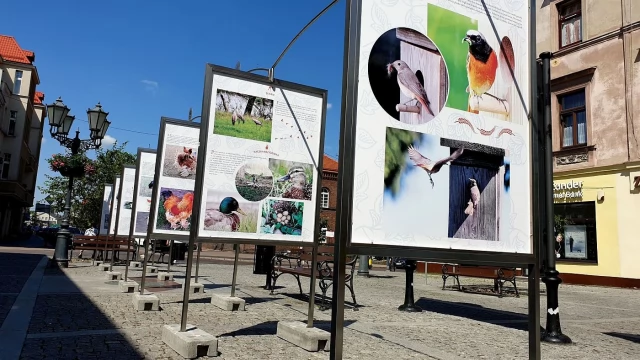Tczew - "Spotkane w drodze". Ciekawa ekspozycja na Starym Mieście