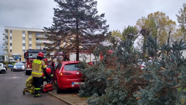 Tczew - Ul. Armii Krajowej. Po zderzeniu z osobówką drzewo spadło na spacerowicza [WIDEO]