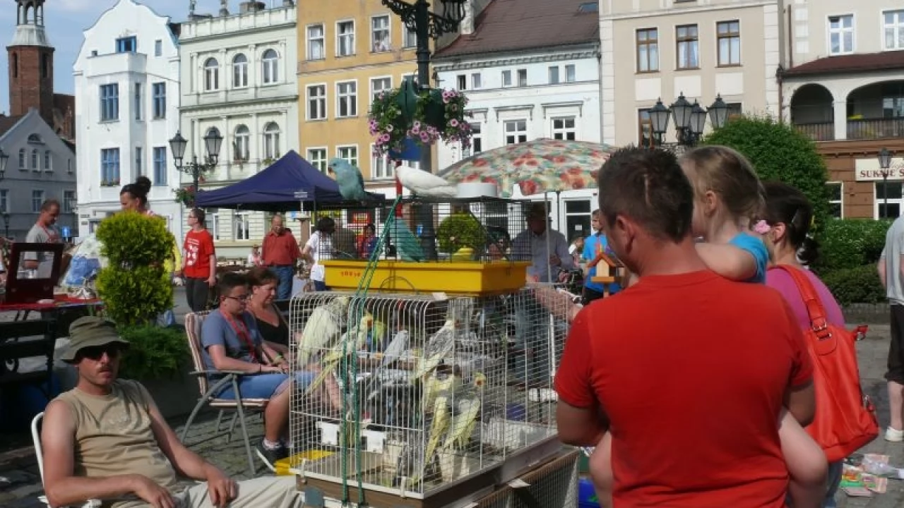 Tczew - Pchli Targ na placu Hallera