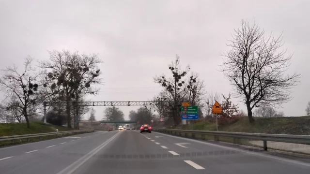 Tczew - Po zmianie organizacji ruchu część kierowców wciąż jeździ na pamięć