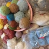 Tczew - Oddam wełnę, różne kolory. Bezpłatnie