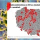 Tczew - Lubicie nosić maseczki na brodzie? Nie jest dobrze