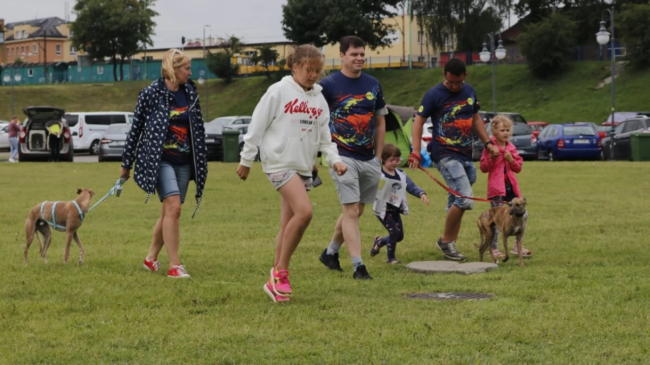 Tczew - Zawody Flyball, czyli wyścig psich sztafet