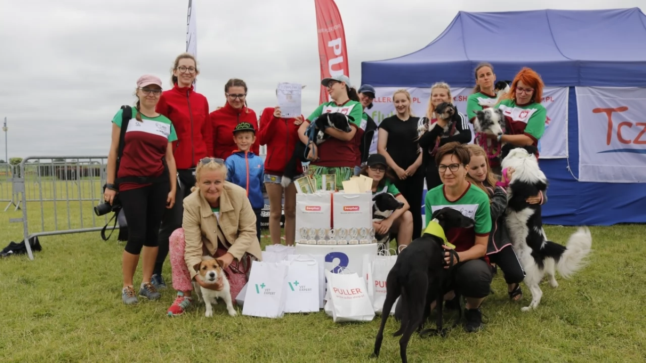 Tczew - Zawody Flyball, czyli wyścig psich sztafet
