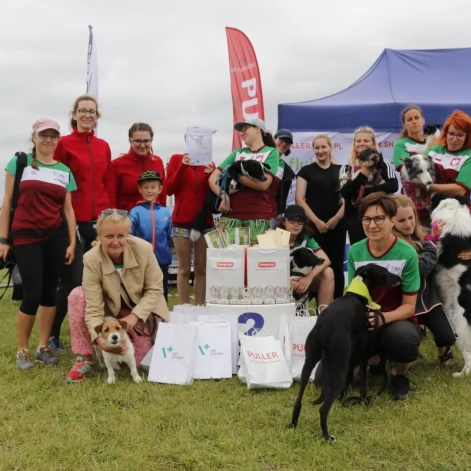 Tczew - Zawody Flyball, czyli wyścig psich sztafet