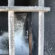 Tczew - Gdzie bezdomni mogą szukać pomocy - tłumaczą urzędnicy i służby