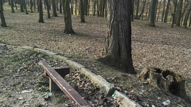 Tczew - I gdzie usiąść w tym parku?