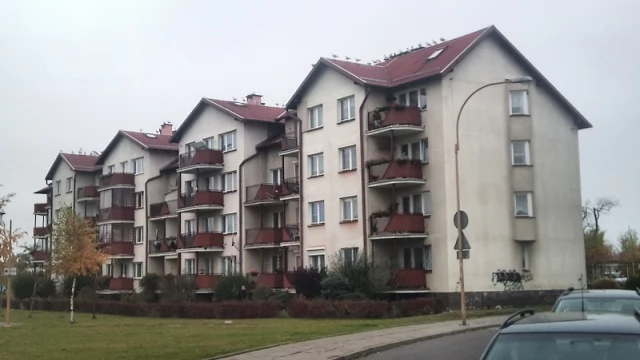 Tczew - Osiedle Bajkowe - inwazja mew. Setki ptaków na dachach