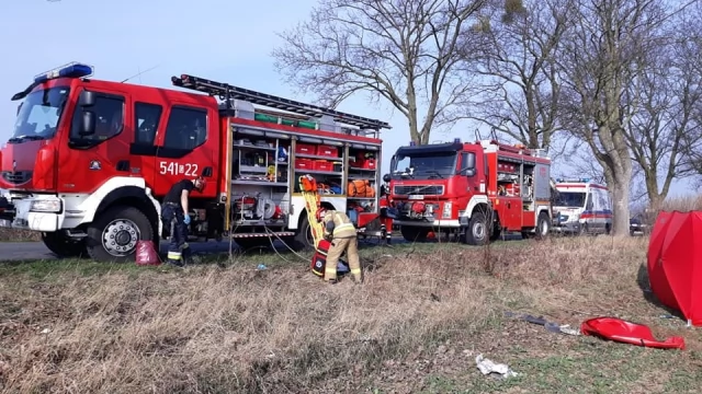 Tczew - Auto wjechało w drzewo. Nie żyje kierowca
