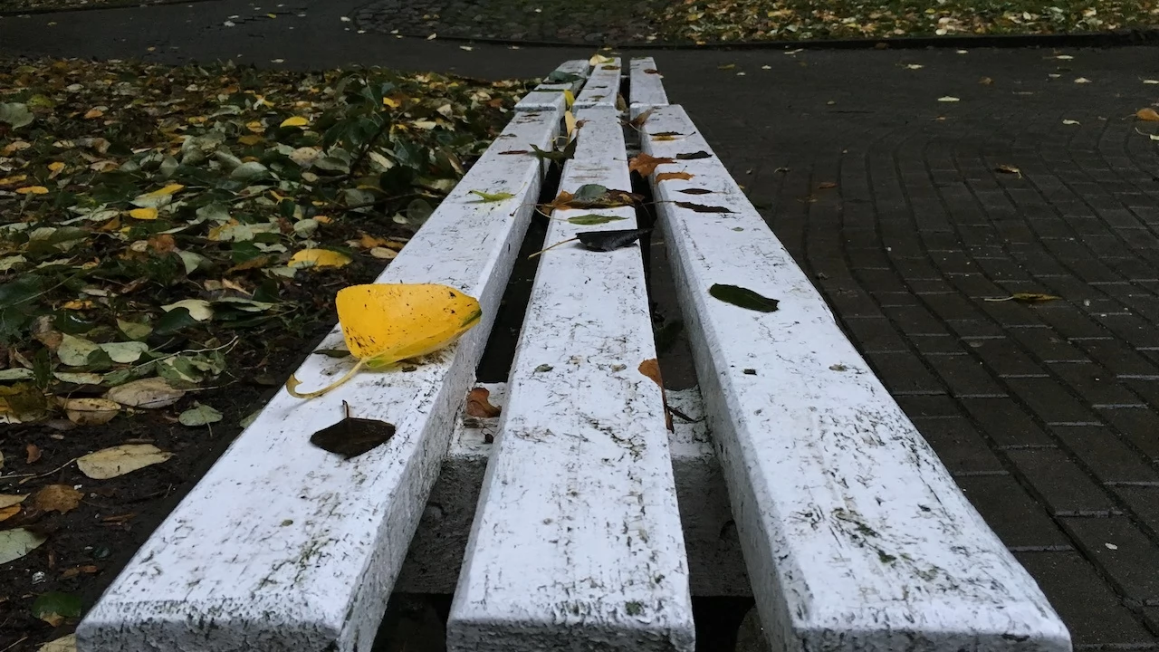 Tczew - Park Miejski jesienią z dnia 7.10.2016