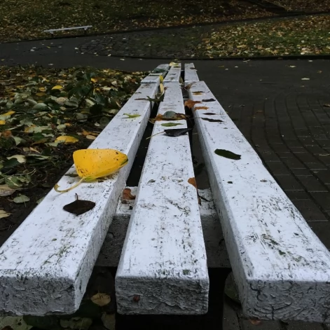 Tczew - Park Miejski jesienią z dnia 7.10.2016