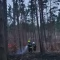 Tczew - Płonął las. Strażacy opanowali sytuację