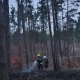 Tczew - Płonął las. Strażacy opanowali sytuację