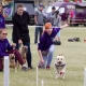 Tczew - Ale były emocje! Flyball nad Wisłą [FOTO]