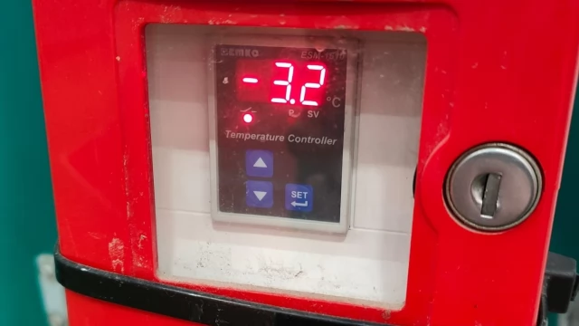 Tczew - Mróz na kortach wyłączył halę z użytkowania