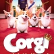 Tczew - Corgi, psiak królowej - seanse specjalne 18 i 19 lipca