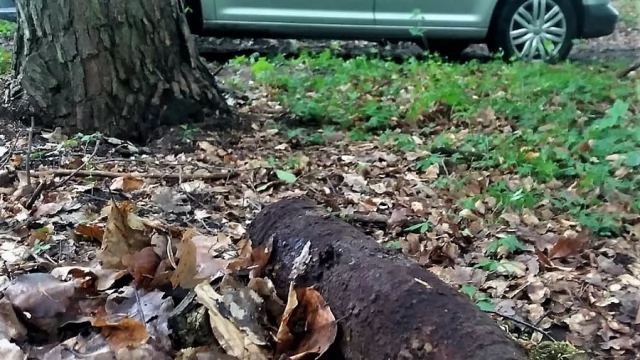 Tczew - Dwa pociski artyleryjskie na terenie gminy Tczew. Policja zabezpieczała znaleziska