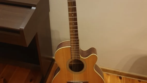 Tczew - Sprzedam gitara akustyczna
