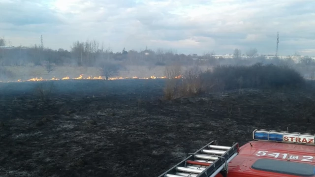 Tczew - Zaczyna się sezon wypalania traw. To zabronione!