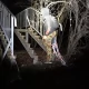 Tczew - Urbex. Eksplorują opuszczone i zapomniane miejsca