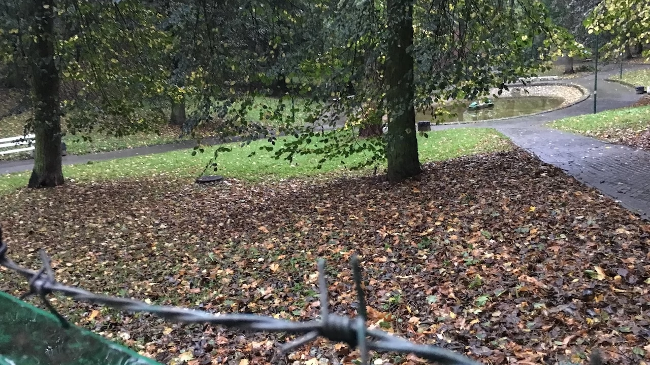 Tczew - Park Miejski jesienią z dnia 7.10.2016