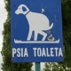 Tczew - Robią z boiska psią toaletę