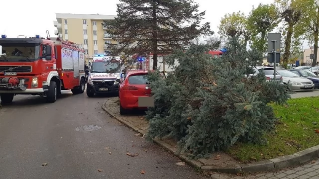 Tczew - Ul. Armii Krajowej. Po zderzeniu z osobówką drzewo spadło na spacerowicza [WIDEO]