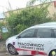 Tczew - Kierowcy z Indii za kółkiem miejskiego autobusu?