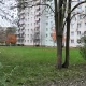 Tczew - Ratusz szuka firmy, która utrzyma tereny zielone