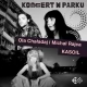 Tczew - Koncert w Parku: Ola Chaładaj i Michał Rajca, Kasoil