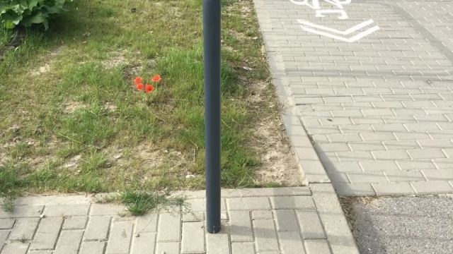 Tczew - Koniec chodnika?