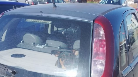 Tczew - Taki widok na parkingu