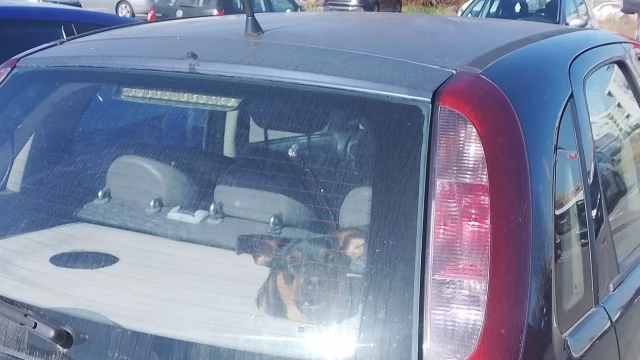 Tczew - Taki widok na parkingu