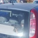 Tczew - Taki widok na parkingu