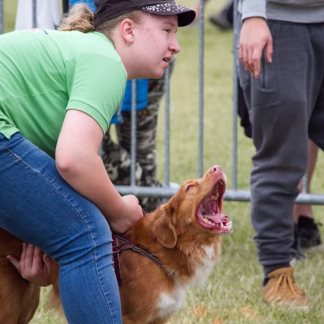 Tczew - Flyball - Wyścigi Psich Sztafet nad Wisłą