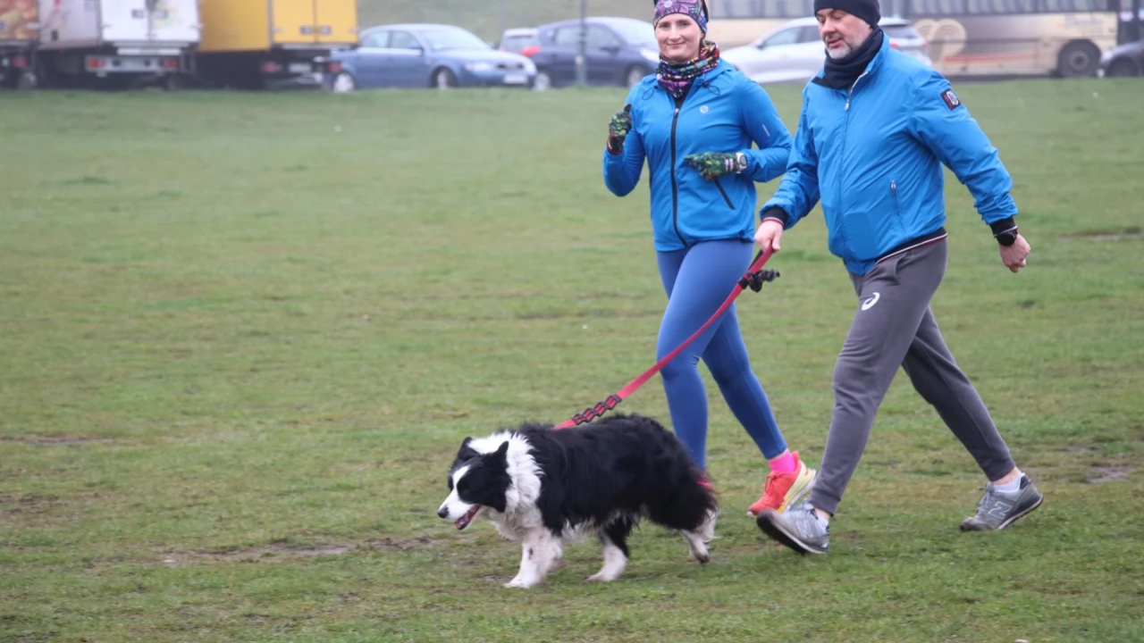 Tczew - Parkrun na niebiesko