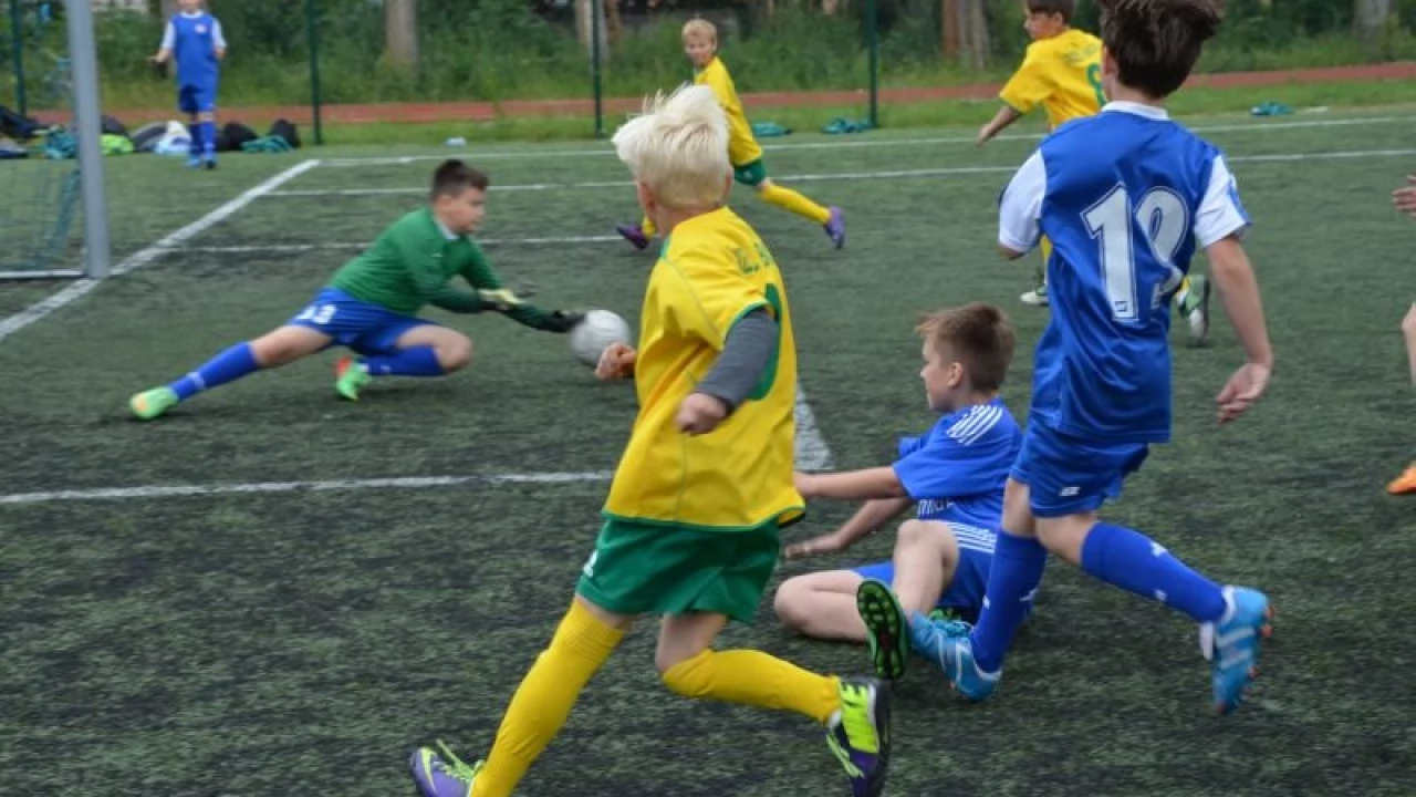 Tczew - Piknik sportowy McDonald’s 