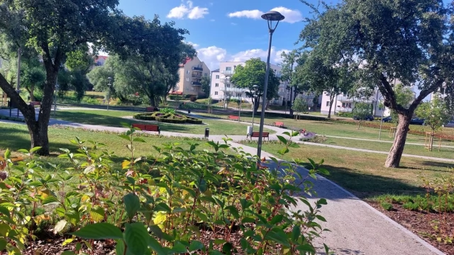 Tczew - Więcej łąk kwietnych, mniej koszenia do ziemi