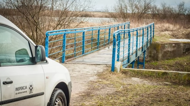 Tczew - Ktoś porzucił psa na pewną śmierć. Animalsi powiadamiają prokuraturę