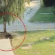 Tczew - Problem, którego nie da się obejść? (Tcz24) [Aktualizacja]