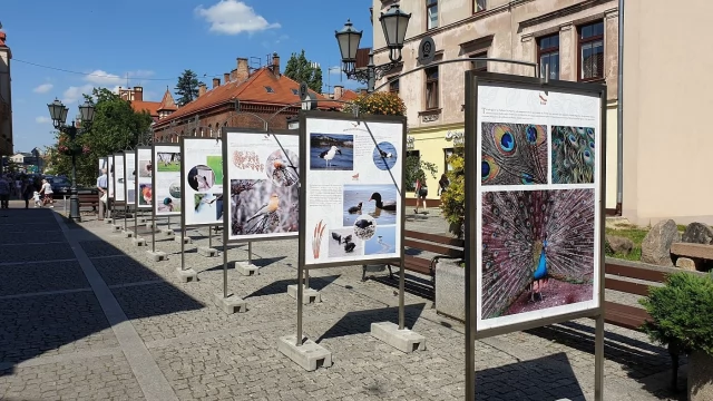 Tczew - "Spotkane w drodze". Ciekawa ekspozycja na Starym Mieście