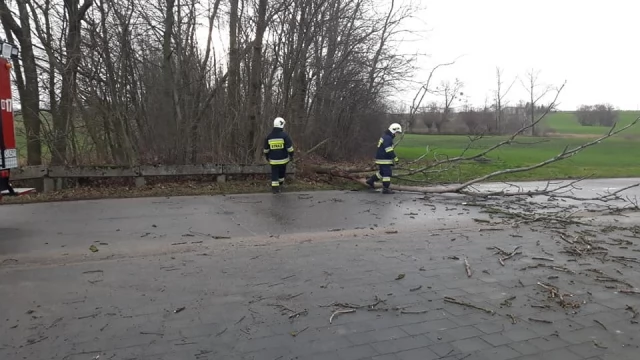 Tczew - 11 strażackich interwencji i 7 kolizji po załamaniu pogody