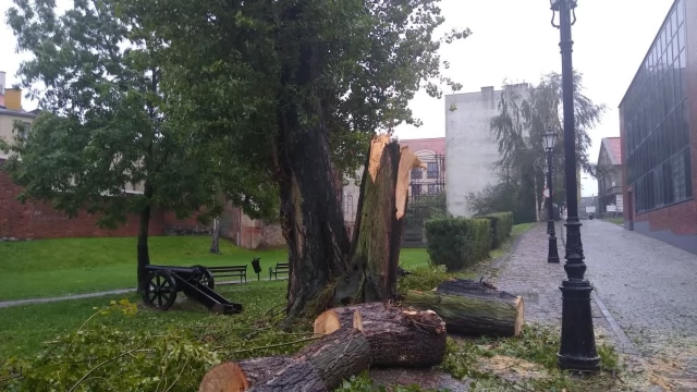 Tczew - Na Pomorzu wieje. Straż usuwa skutki silnych podmuchów