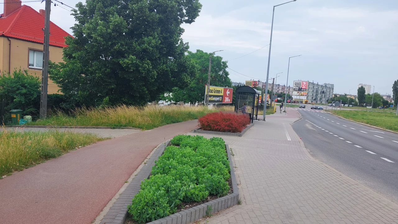 Zielone przystanki - włącz swoją firmę w podnoszenie estetyzacji miasta