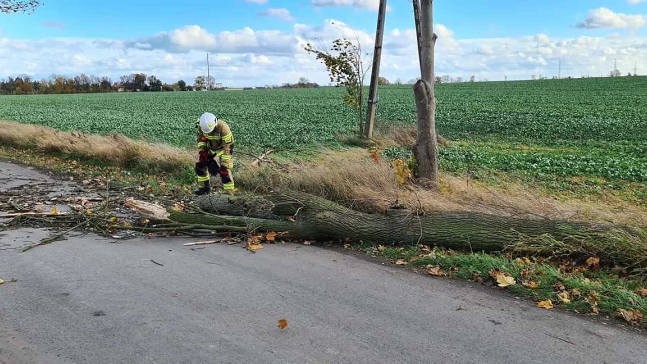 Strażacy i energetycy walczą ze skutkami silnego wiatru [AKTUALIZACJA]