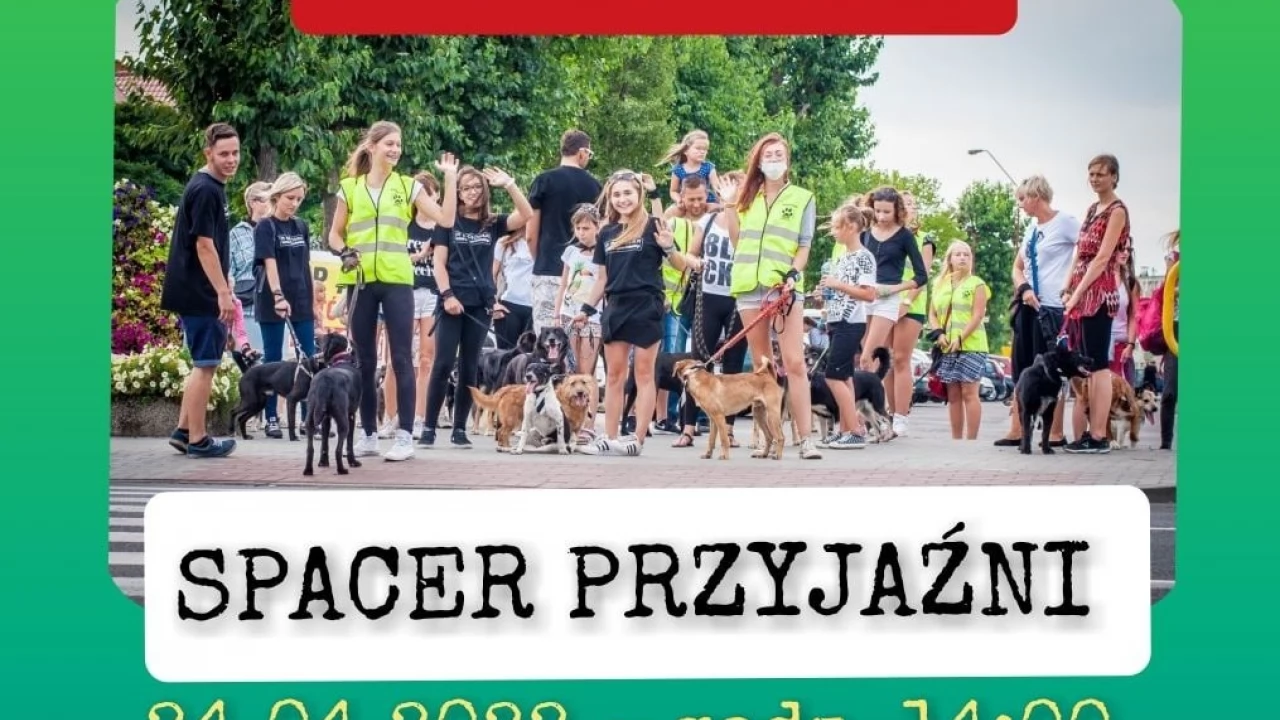 Weź psiego spacerowicza i wyrusz na "Spacer przyjaźni"